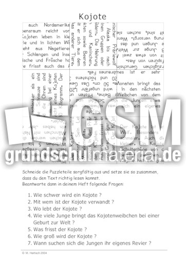 Kojote.pdf
